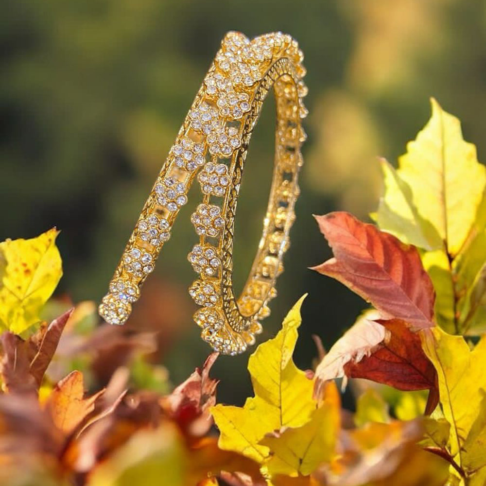 Hira Collections Gold Plated Austrian Stone Bangles Set