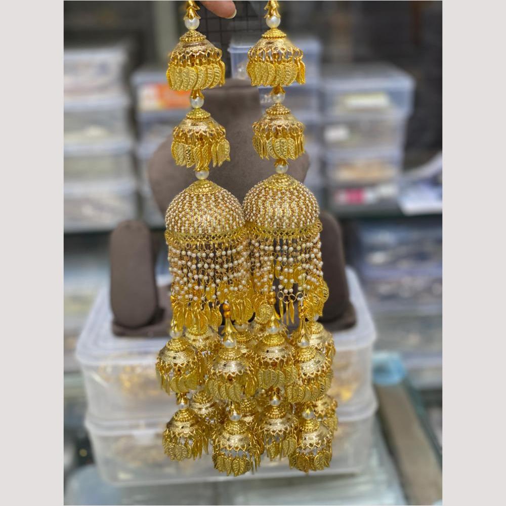 Hira Collections Heavy Look Grand Dulhan Pearl Kalire