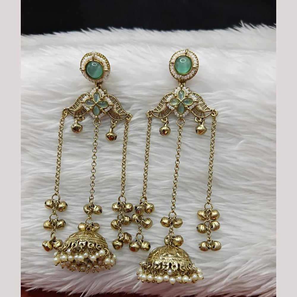 FS Collection Designer Kashmiri Pota Stone And Ghughroo Jhumki Earrings