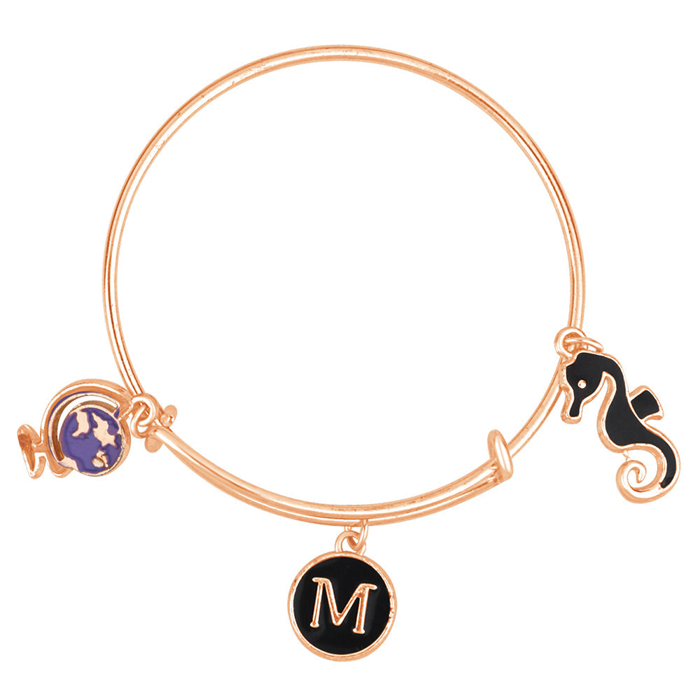 Alex and ani store social worker bracelet