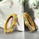 Neetu Art Gold Plated Pota Stone Openable Bangle Set