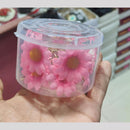 Manisha Jewellery Blush Bloom Hair Pin Pink Floral Charm Set 