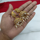 Lucentarts Jewellery Gold Plated Pota Stone And Pearl Jhumki Earrings