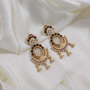 Lucentarts Jewellery Gold Plated Pota Stone And Pearl Dangler Earrings