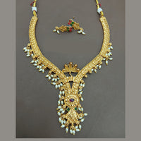 Lucentarts Jewellery Elegant Pota Stone And Pearl Necklace Set