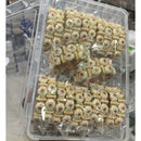 Pooja Bangles Heritage Pota Stone And Austrian Traditional Bangles Set