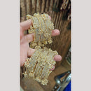 Pooja Bangles Glamorous Austrian Stone And Pearl Kashmiri Bangles Set 