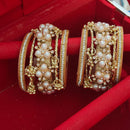 Pooja Bangles Classic Austrian Stone Kashmiri Ghungroo Bangles Set
