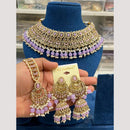 Hira Collections Elegant Crystal Stones And Pearls Choker Necklace Set