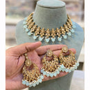 Hira Collections Designer Crystal Stone Pearl And Beads Choker Necklace Set