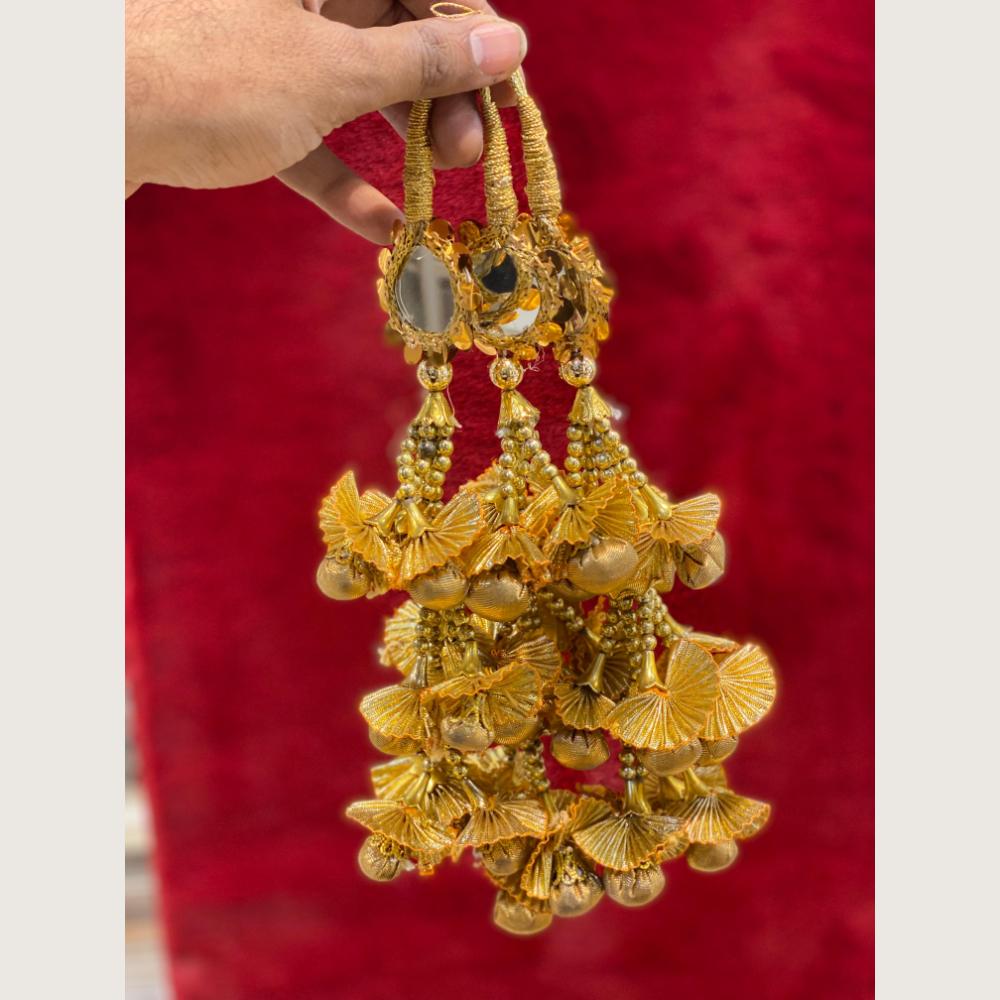 Hira Collections Heavy Mirror Work Hair Paranda