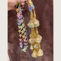 Hira Collections Traditional Multicolor Thread Punjabi Hair Paranda