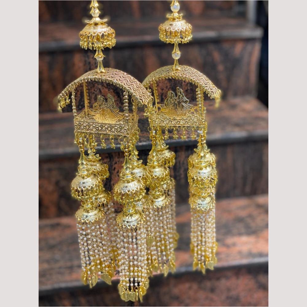 Hira Collections Heavy Look Grand Dulhan Pearl Kalire