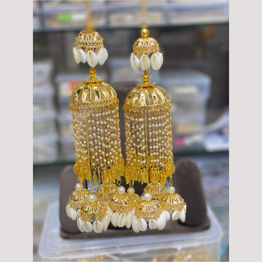 Hira Collections Heavy Look Grand Dulhan Pearl And Shell Kalire