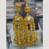 Hira Collections Heavy Look Grand Dulhan Pearl Kalire