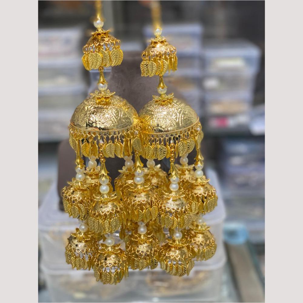 Hira Collections Heavy Look Grand Dulhan Pearl Kalire