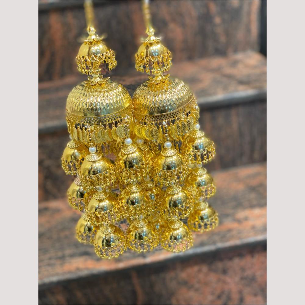 Hira Collections Heavy Look Grand Dulhan Pearl Kalire