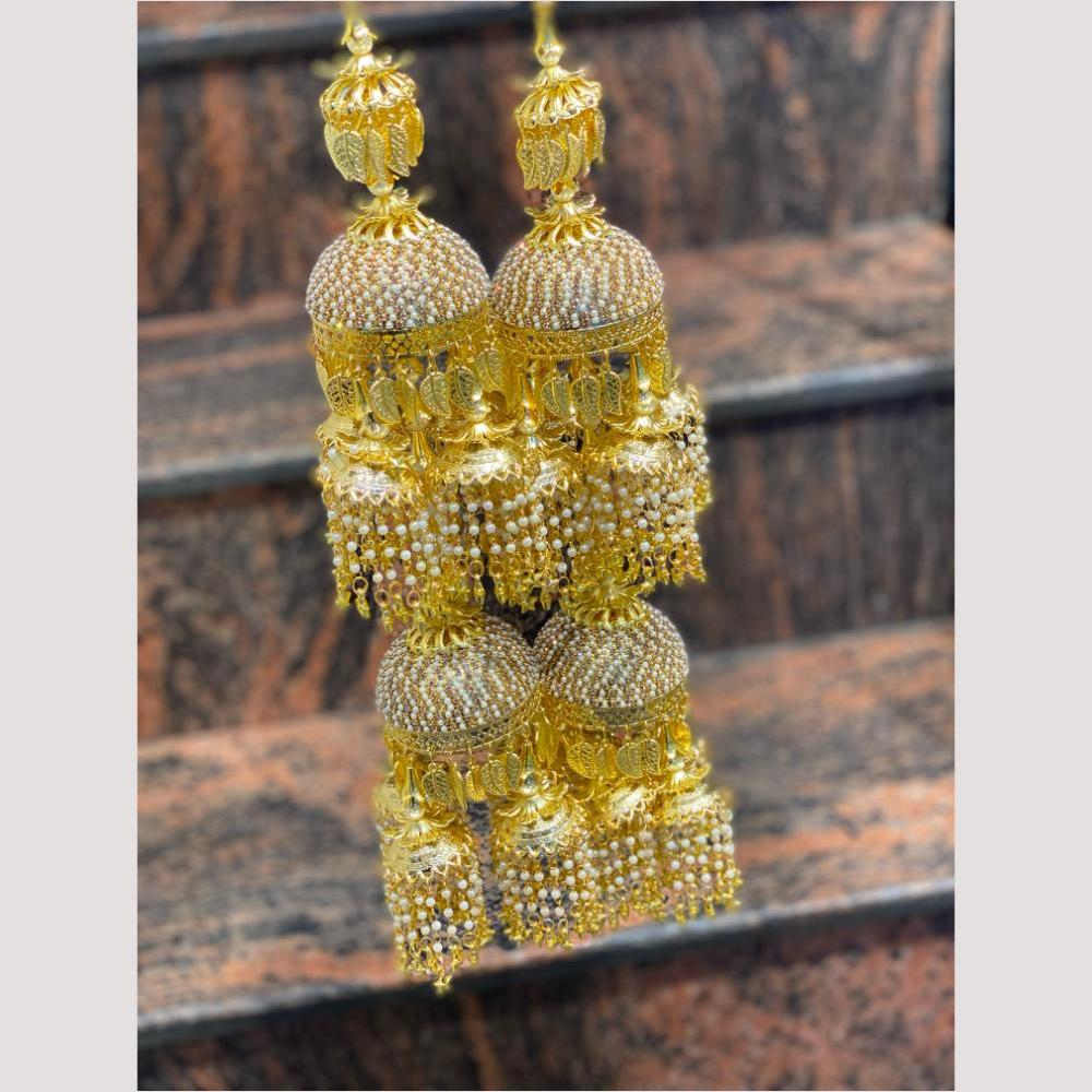 Hira Collections Heavy Look Grand Dulhan Pearl Kalire