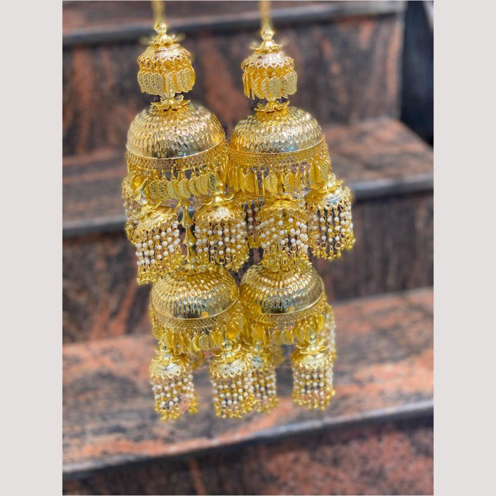 Hira Collections Heavy Look Grand Dulhan Pearl Kalire