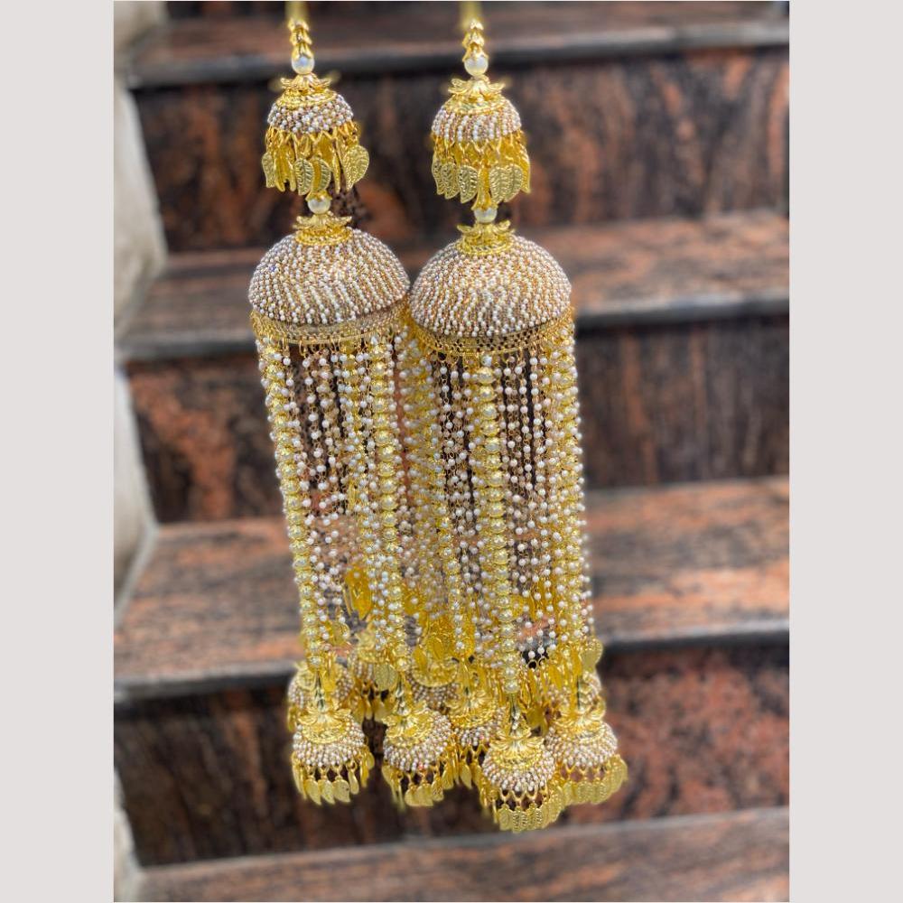 Hira Collections Heavy Look Grand Dulhan Pearl Kalire