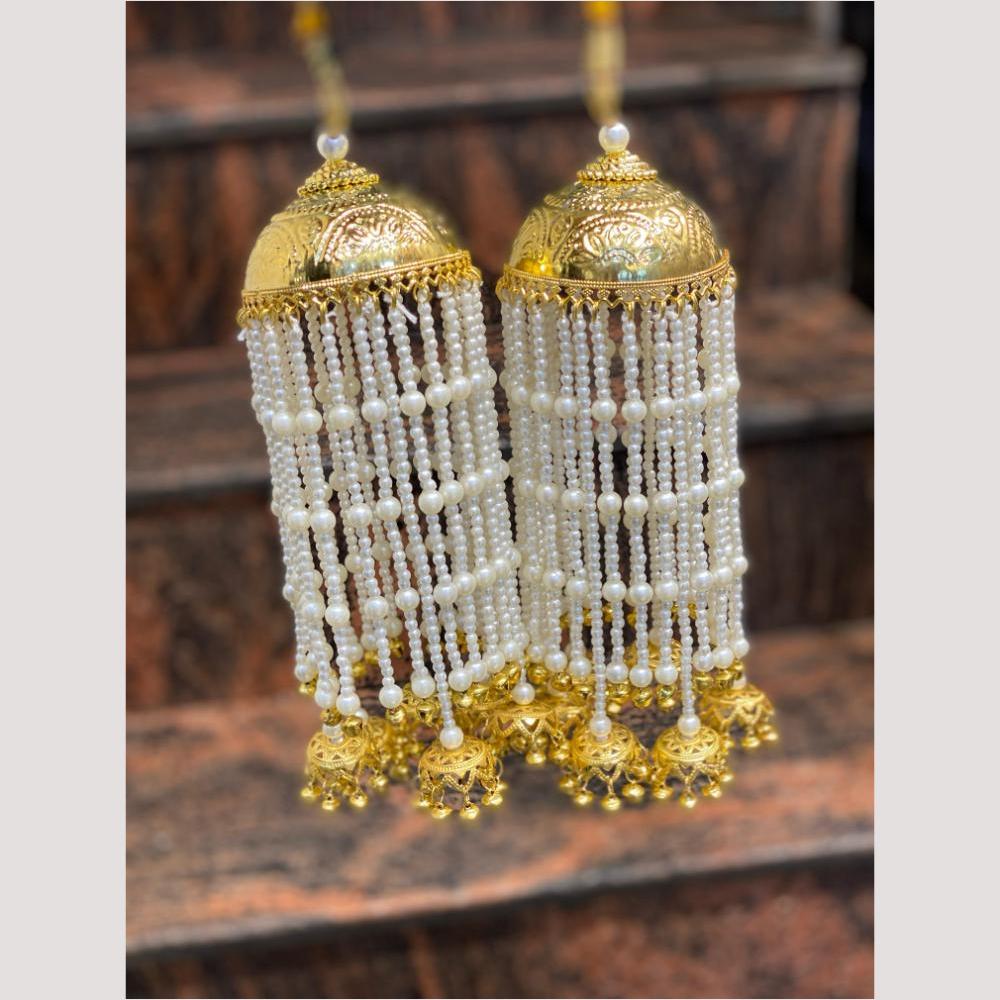 Hira Collections Heavy Look Grand Dulhan Pearl Kalire