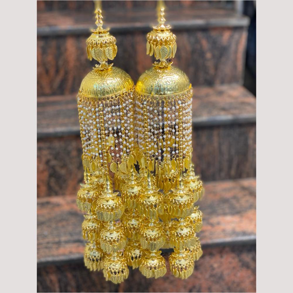 Hira Collections Heavy Look Grand Dulhan Pearl Kalire