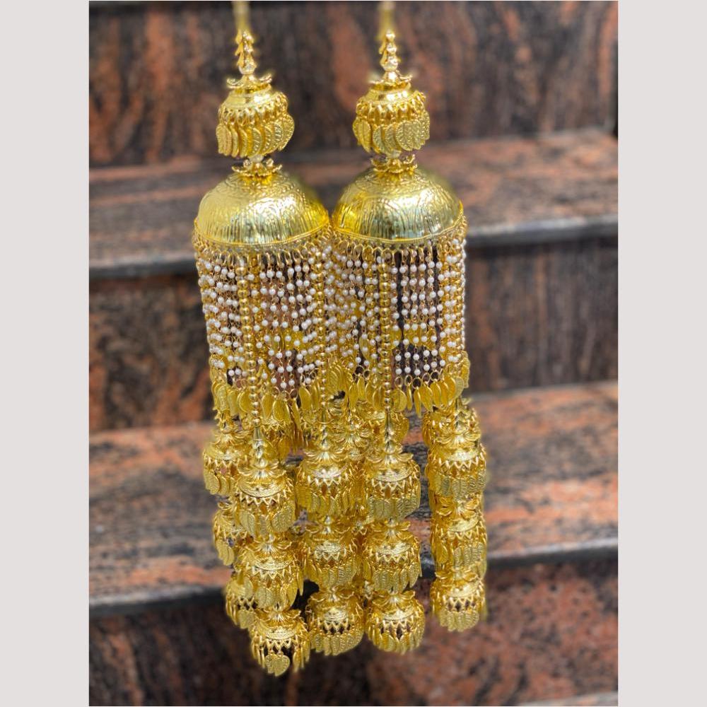 Hira Collections Heavy Look Grand Dulhan Pearl Kalire