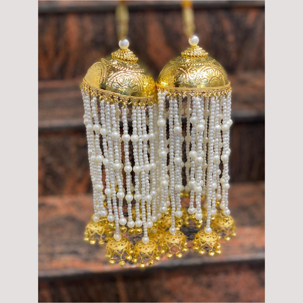 Hira Collections Heavy Look Grand Dulhan Pearl Kalire