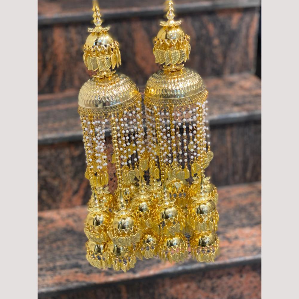 Hira Collections Heavy Look Grand Dulhan Pearl Kalire