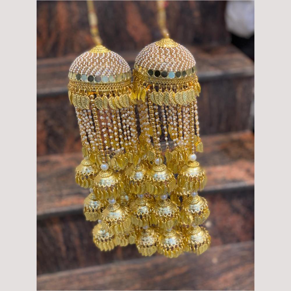 Hira Collections Heavy Look Grand Dulhan Pearl Kalire