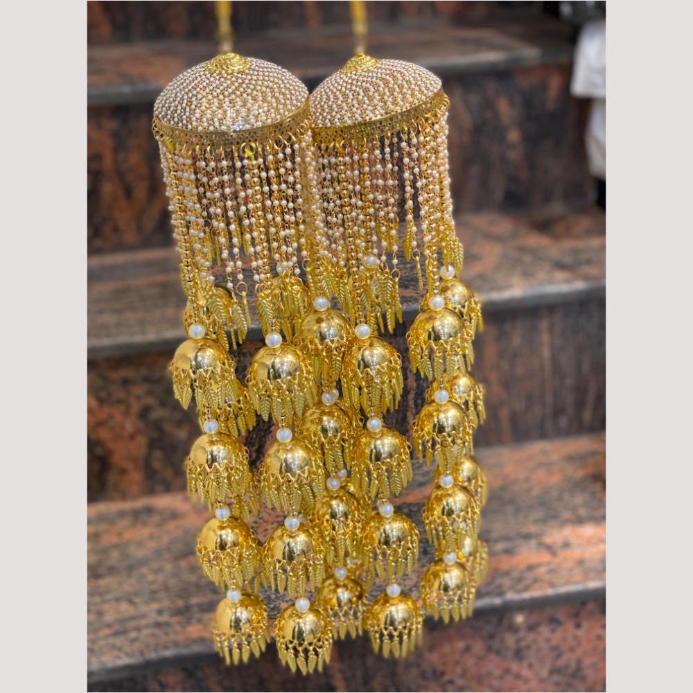 Hira Collections Heavy Look Grand Dulhan Pearl Kalire