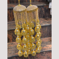 Hira Collections Heavy Look Grand Dulhan Pearl Kalire