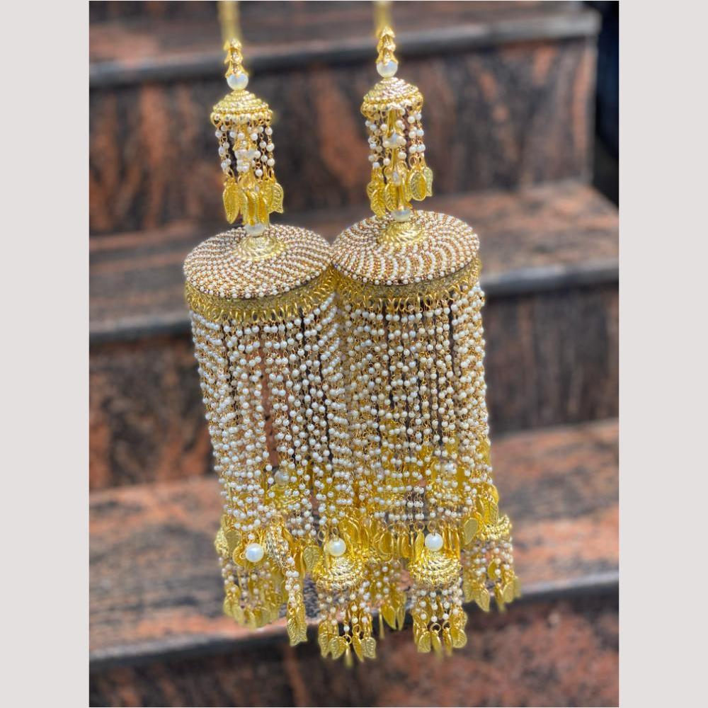 Hira Collections Heavy Look Grand Dulhan Pearl Kalire