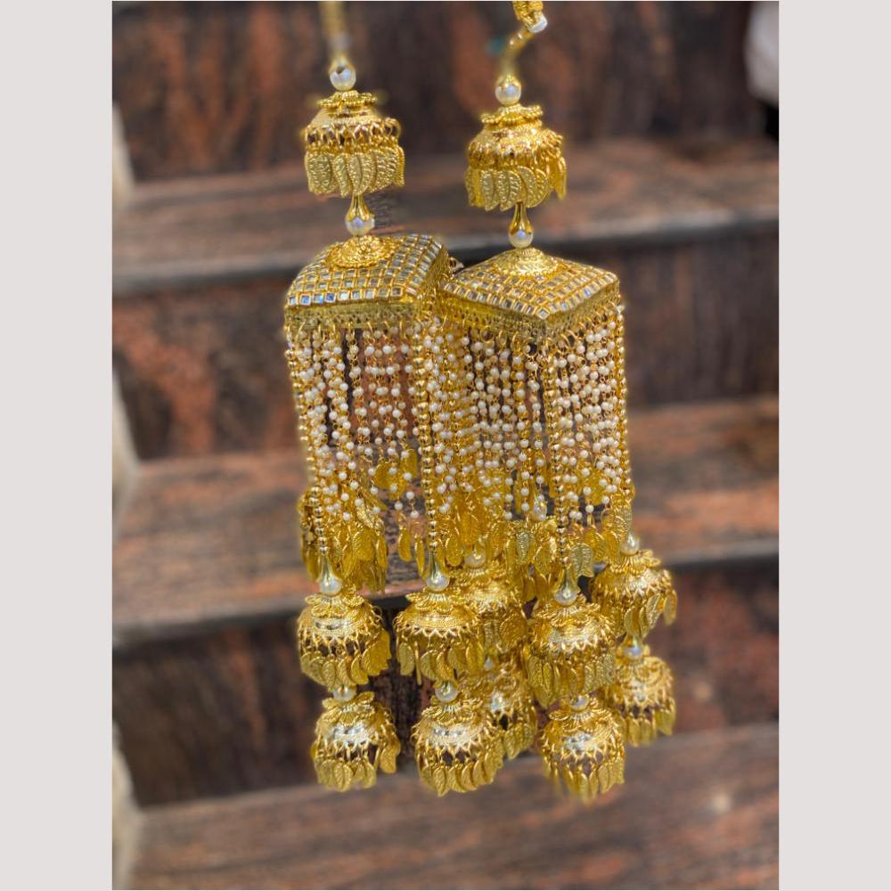 Hira Collections Heavy Look Grand Dulhan Pearl Kalire