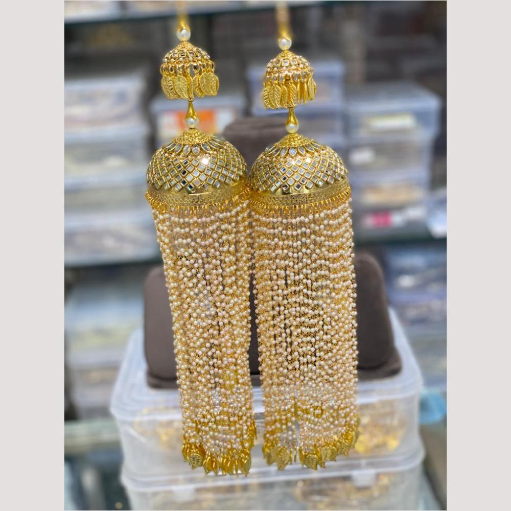 Hira Collections Heavy Look Grand Dulhan Pearl Kalire