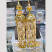 Hira Collections Heavy Look Grand Dulhan Pearl Kalire