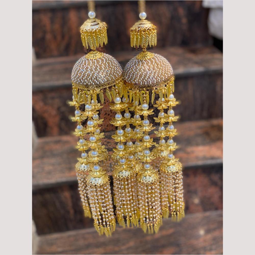 Hira Collections Heavy Look Grand Dulhan Pearl Kalire