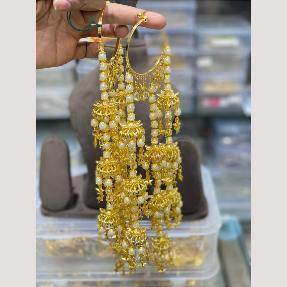 Hira Collections Heavy Look Grand Dulhan Pearl Kalire