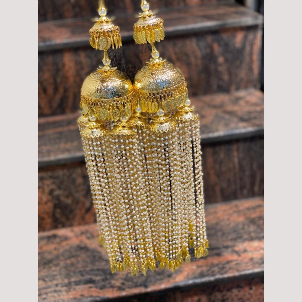 Hira Collections Heavy Look Grand Dulhan Pearl Kalire