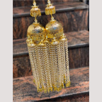 Hira Collections Heavy Look Grand Dulhan Pearl Kalire