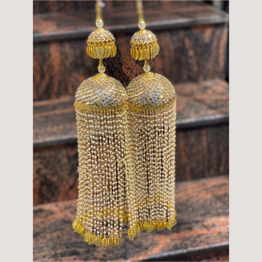 Hira Collections Heavy Look Grand Dulhan Pearl Kalire