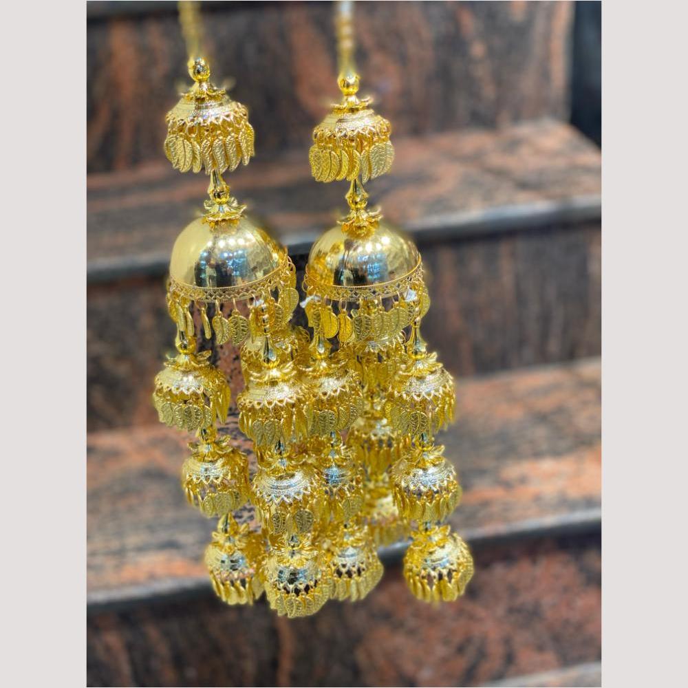 Hira Collections Heavy Look Grand Dulhan Pearl Kalire