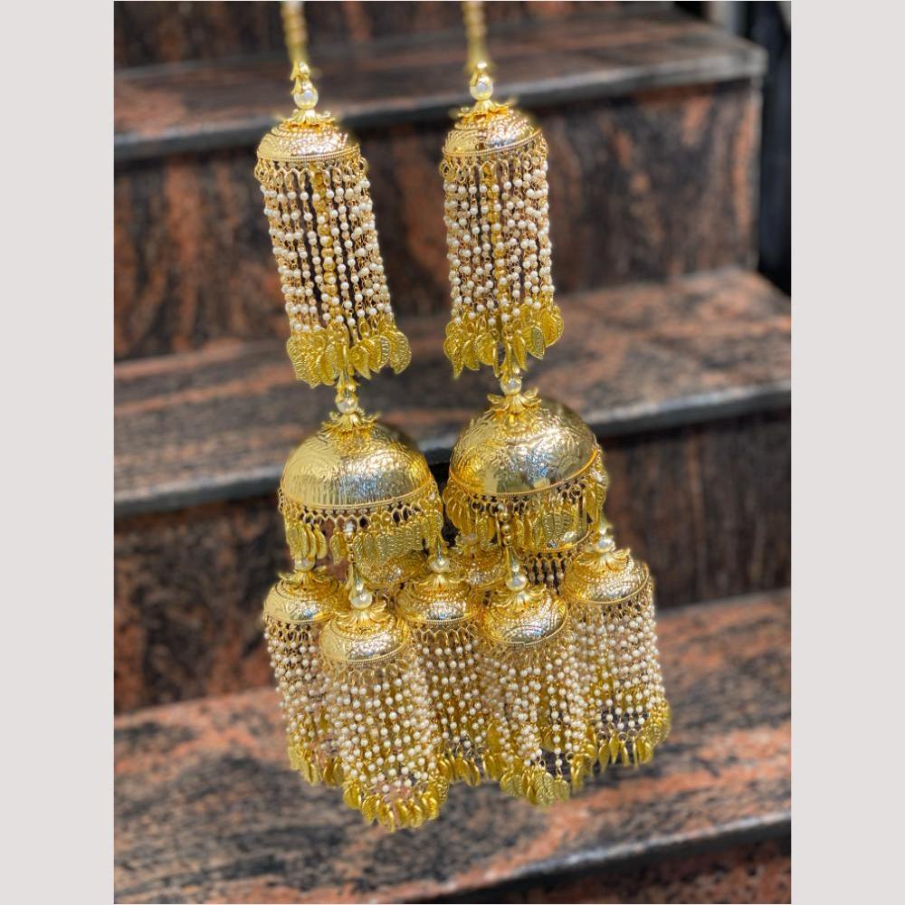 Hira Collections Heavy Look Grand Dulhan Pearl Kalire