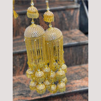 Hira Collections Heavy Look Grand Dulhan Pearl Kalire
