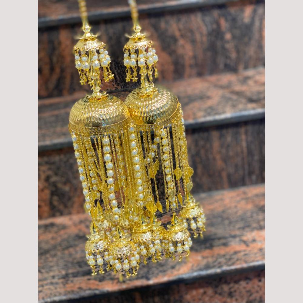 Hira Collections Heavy Look Grand Dulhan Pearl Kalire