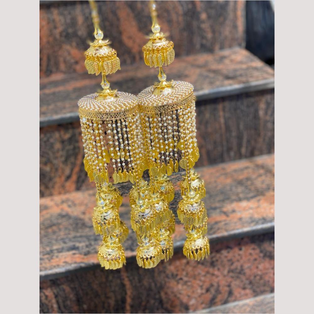 Hira Collections Heavy Look Grand Dulhan Pearl Kalire