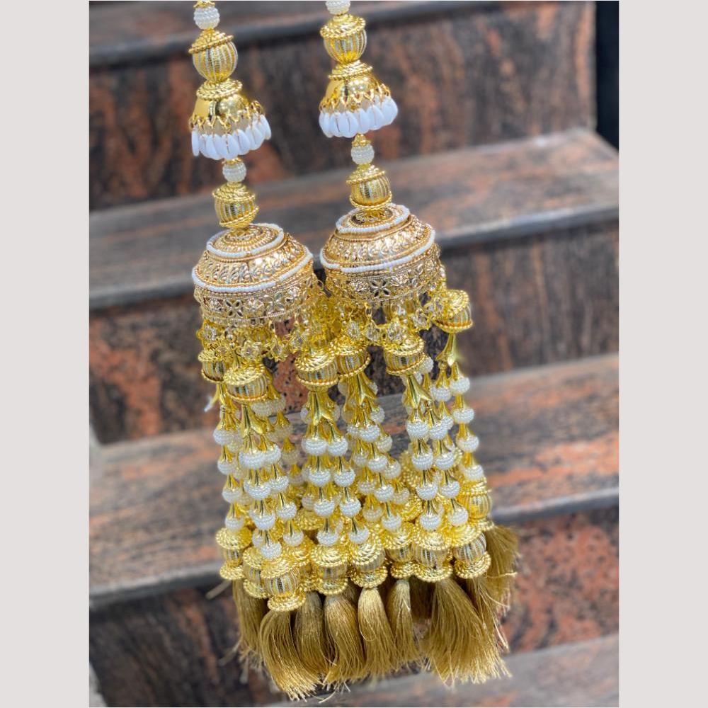 Hira Collections Heavy Look Grand Dulhan Pearl Kalire