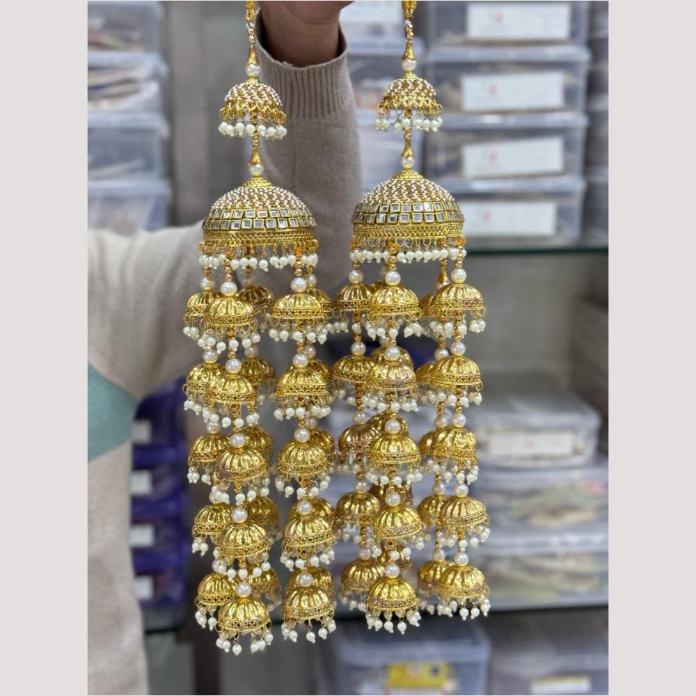 Hira Collections Heavy Look Grand Dulhan Pearl Kalire