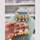 Hira Collection Premium Kundan Stone And Pearl Meenakari Choker Necklace Set