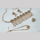 Hira Collections Premium Pota Stone And Pearl Choker Necklace Set for Women